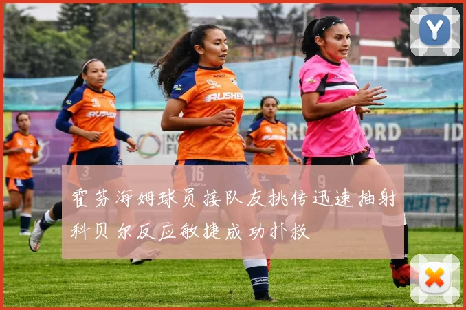 霍芬海姆球员接队友挑传迅速抽射科贝尔反应敏捷成功扑救